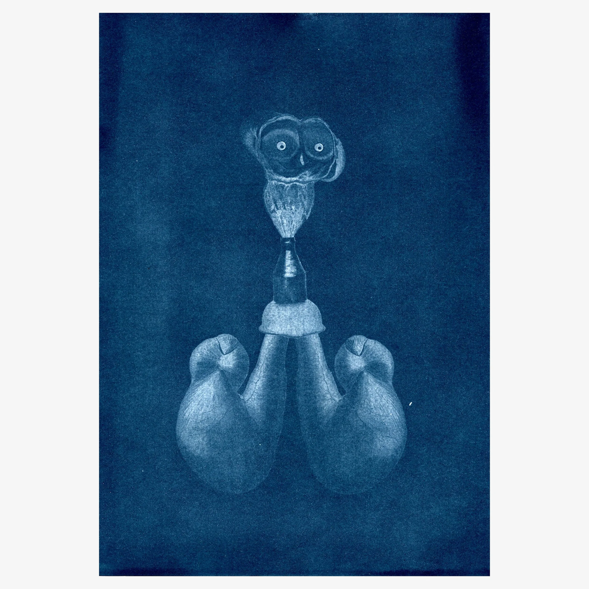 p2021/10 Ms Pantaloon by Clare Burnett
