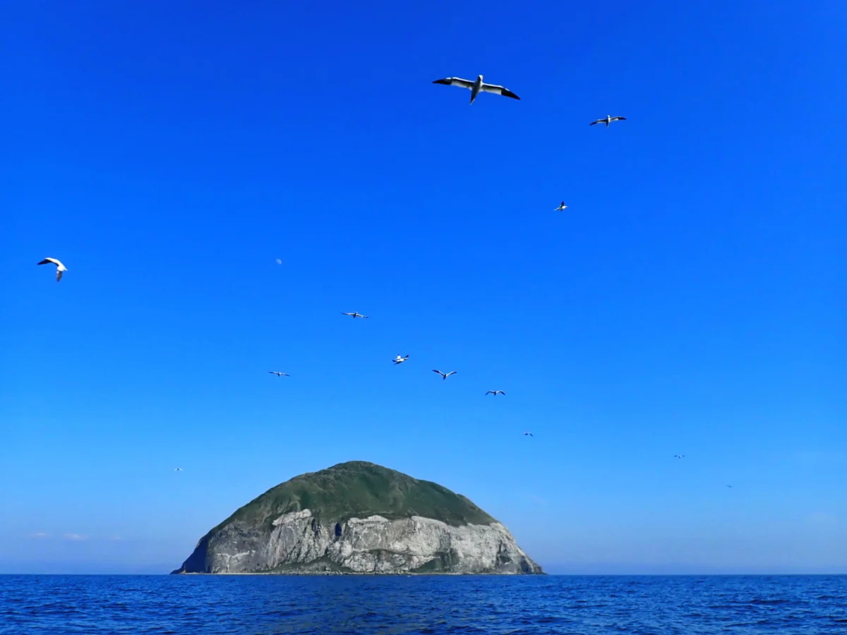Arriving at Ailsa Craig