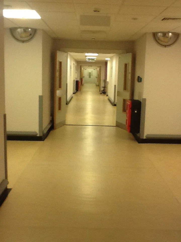 The Long Corridor