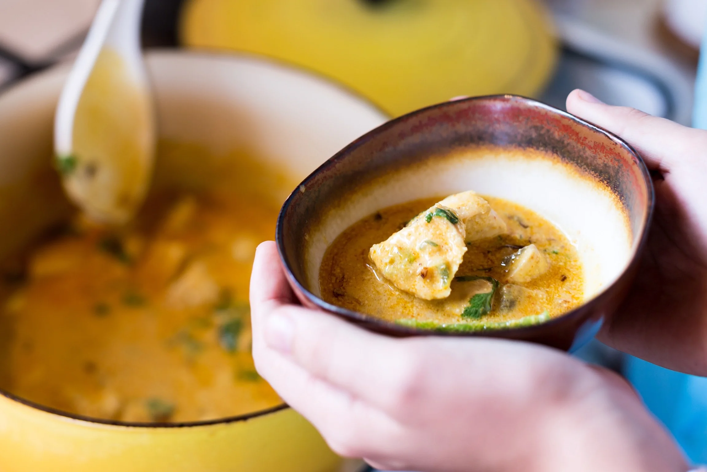 Curry Coconut Fish.jpg