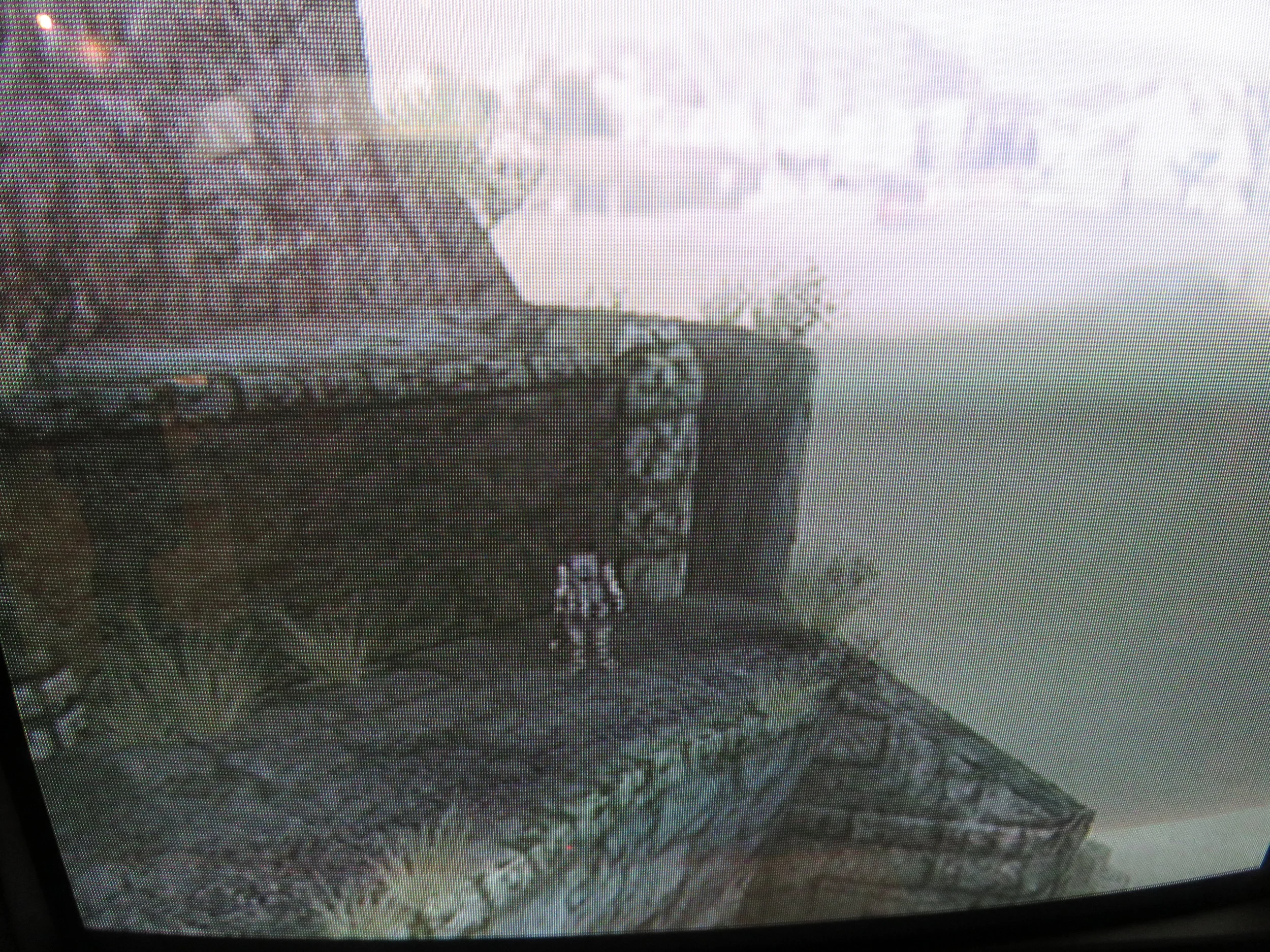 Shadow of the Colossus , 2005