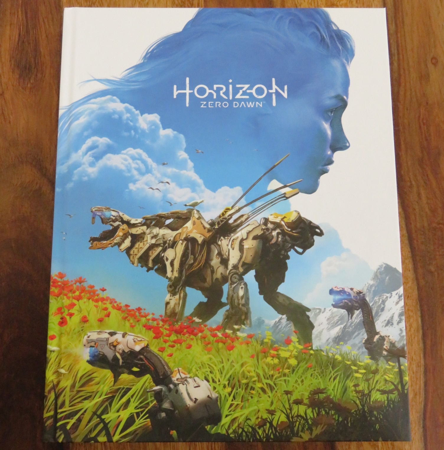 Horizon Zero Dawn Collector S Edition Guide Degraded Orbit
