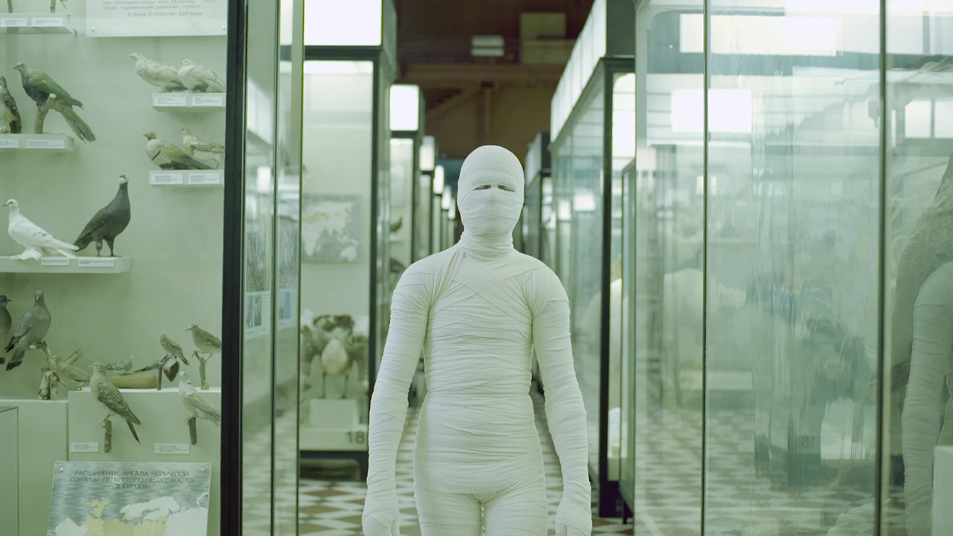 Anton Vidokle, film still from Immortality and Resurrection for All, 2017. Courtesy of the artist.