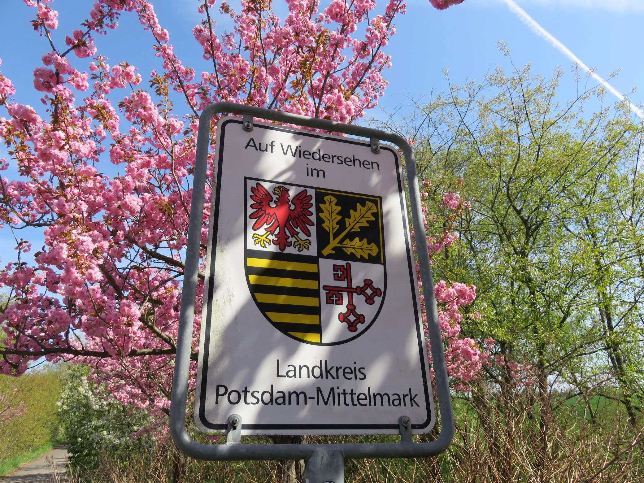 The Mauerweg begins its turn back toward the east at the southern end of the Kirschblütenallee.