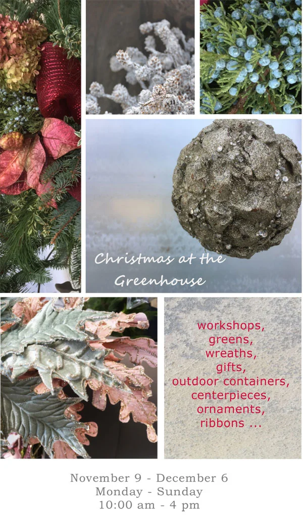 Christmas-at-the-Greenhouse-Two-2017-.jpg