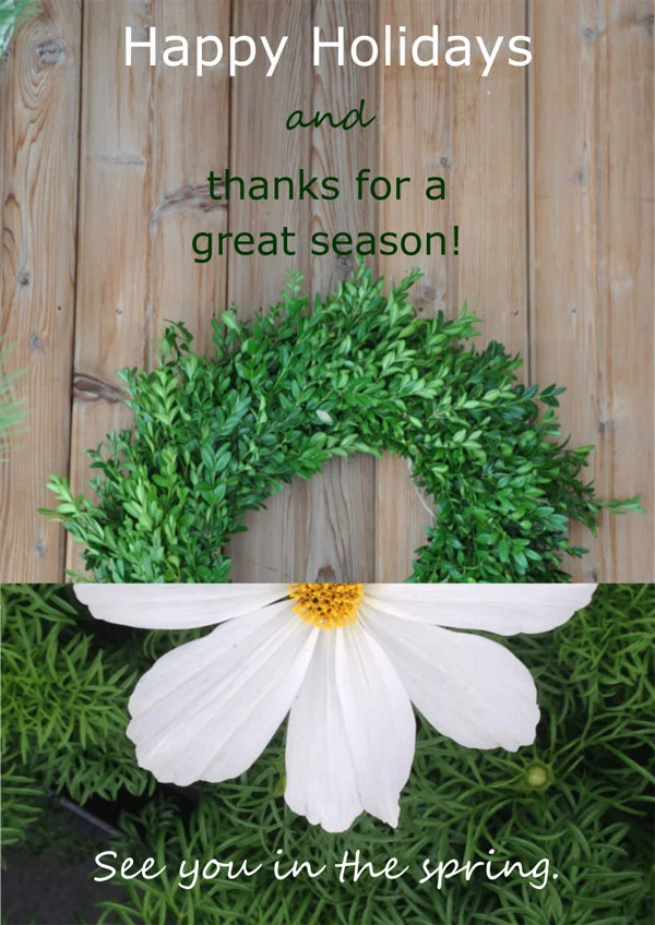 Happy-Holidays-2017.jpg