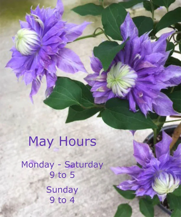 May-Hours-2018.jpg