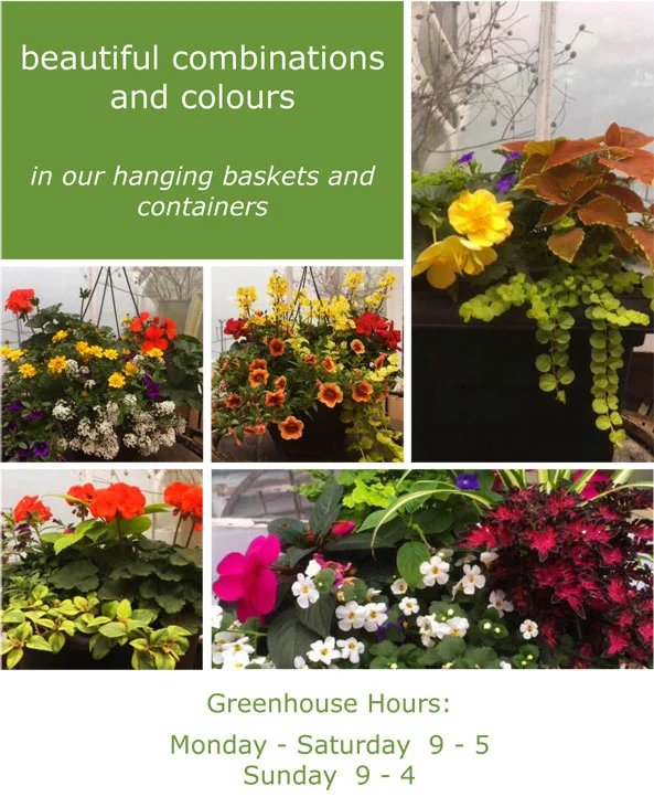 Containers-and-Hanging-Baskets-2018(1).jpg