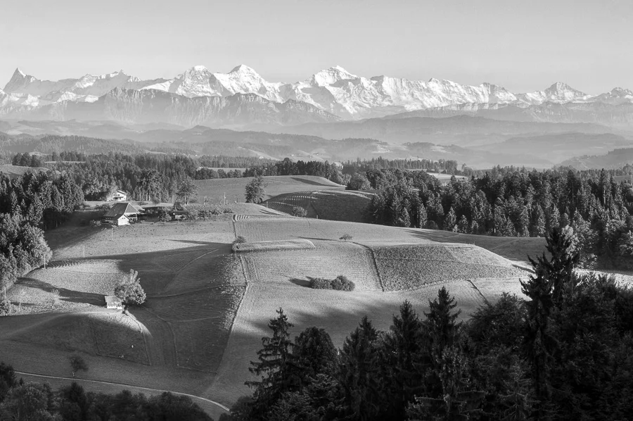 port-ch (16 von 1).jpg