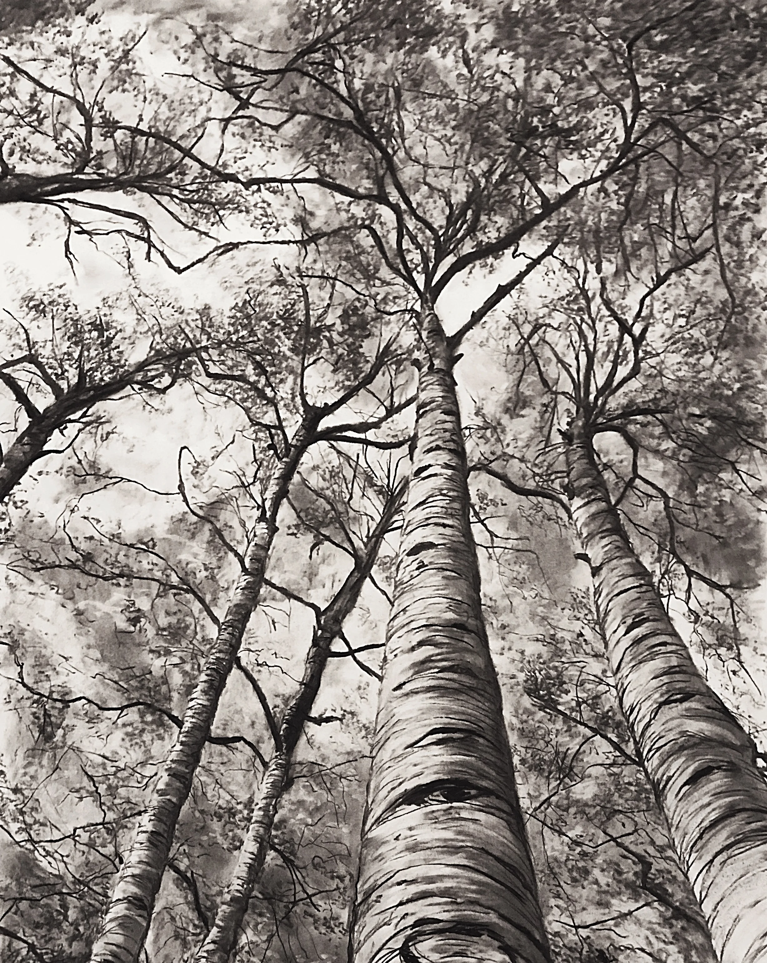 Look up!