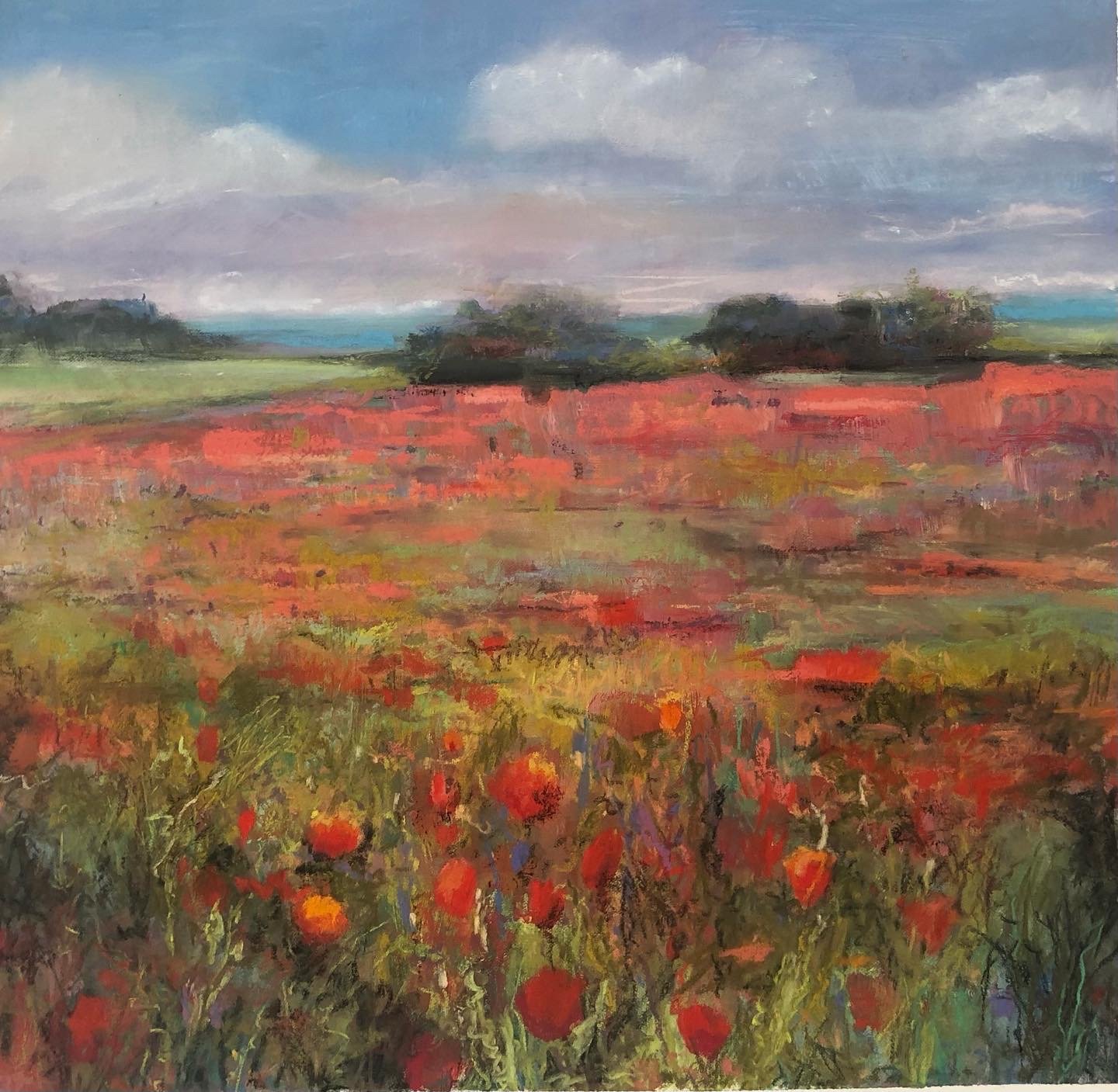 Poppies - SOLD