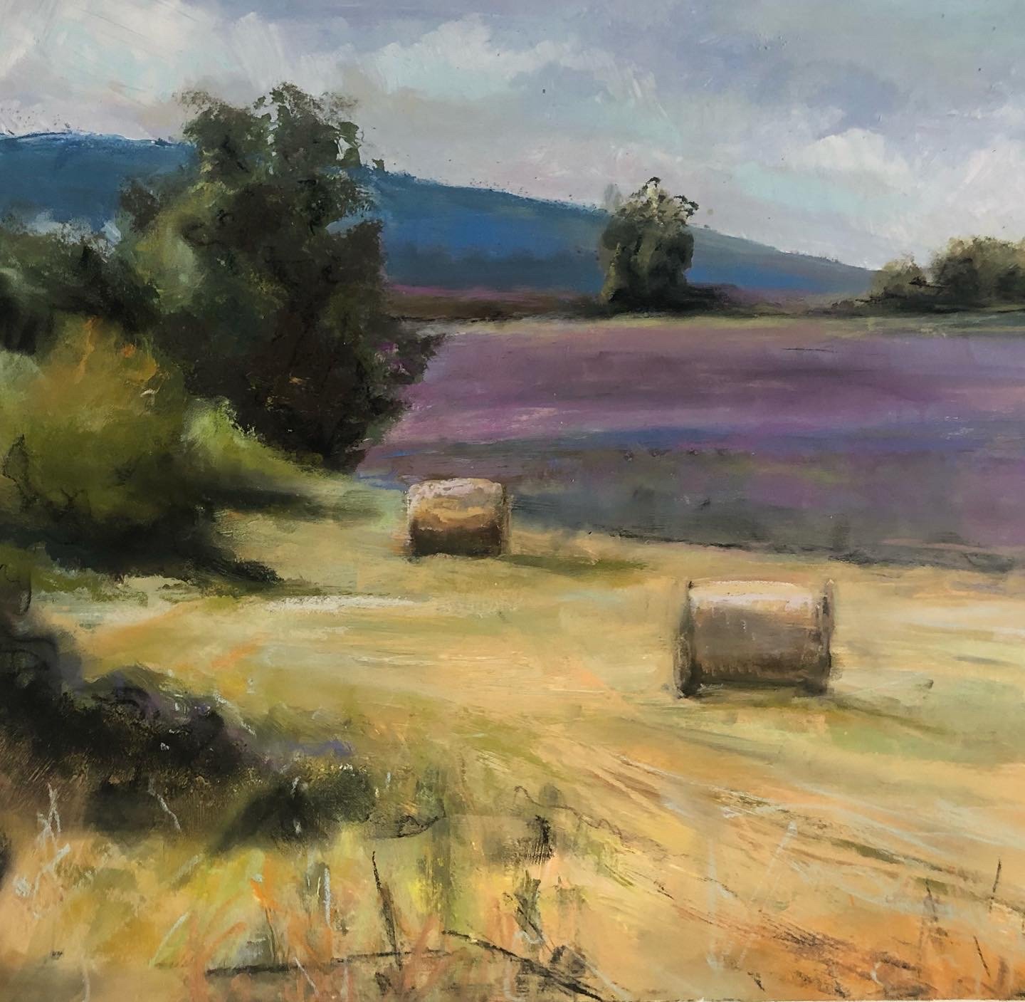 Hay bales -SOLD