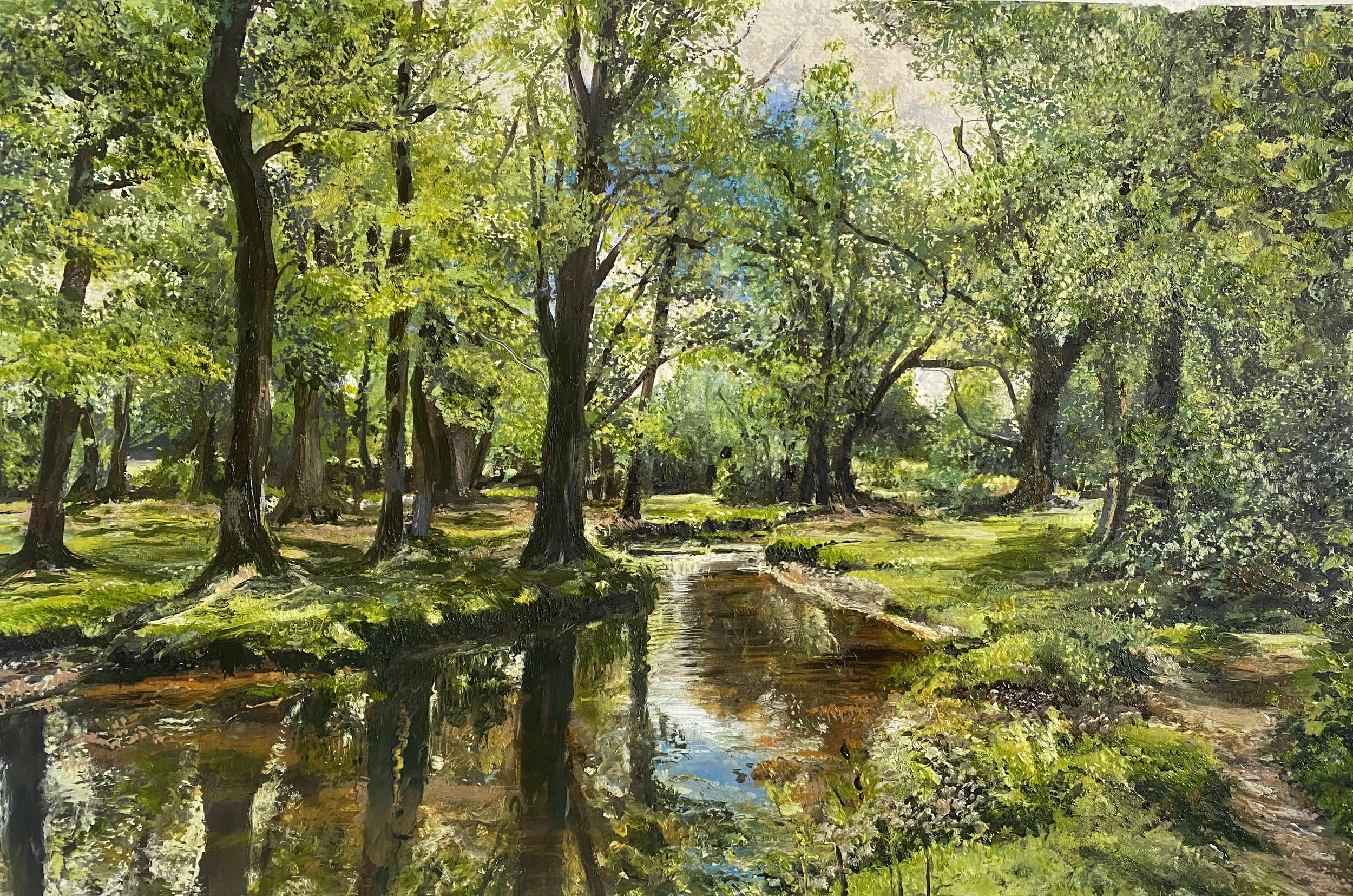 New Forest.jpg