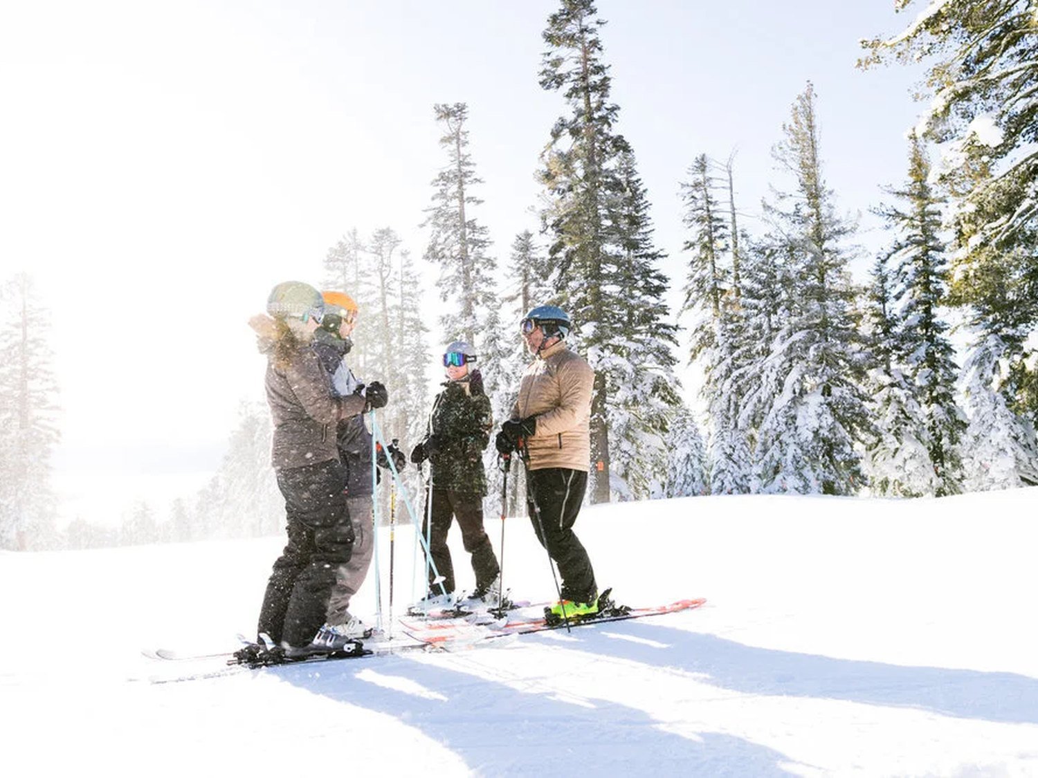 Friends skiing through snowy trees