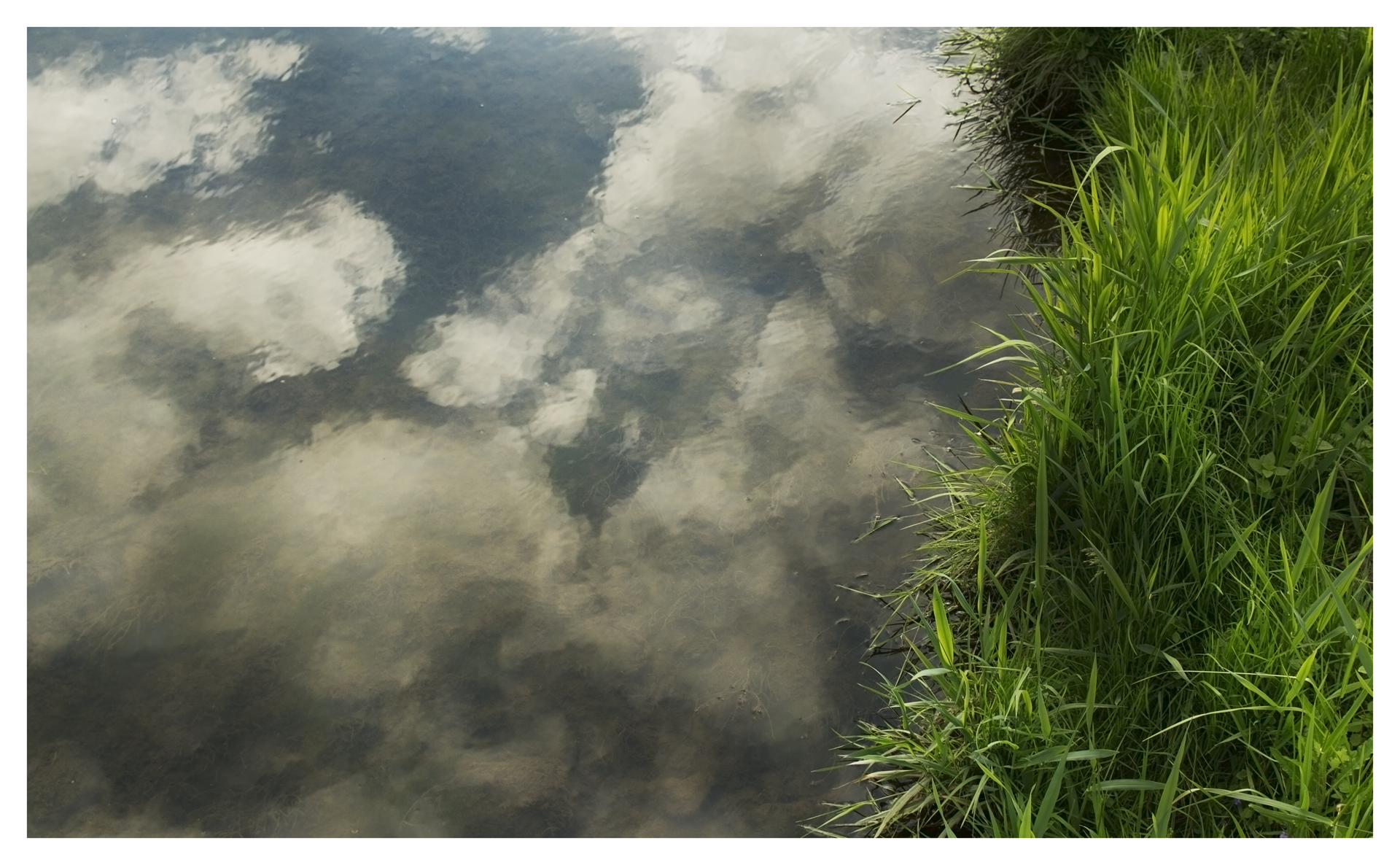 IMG_7257.png