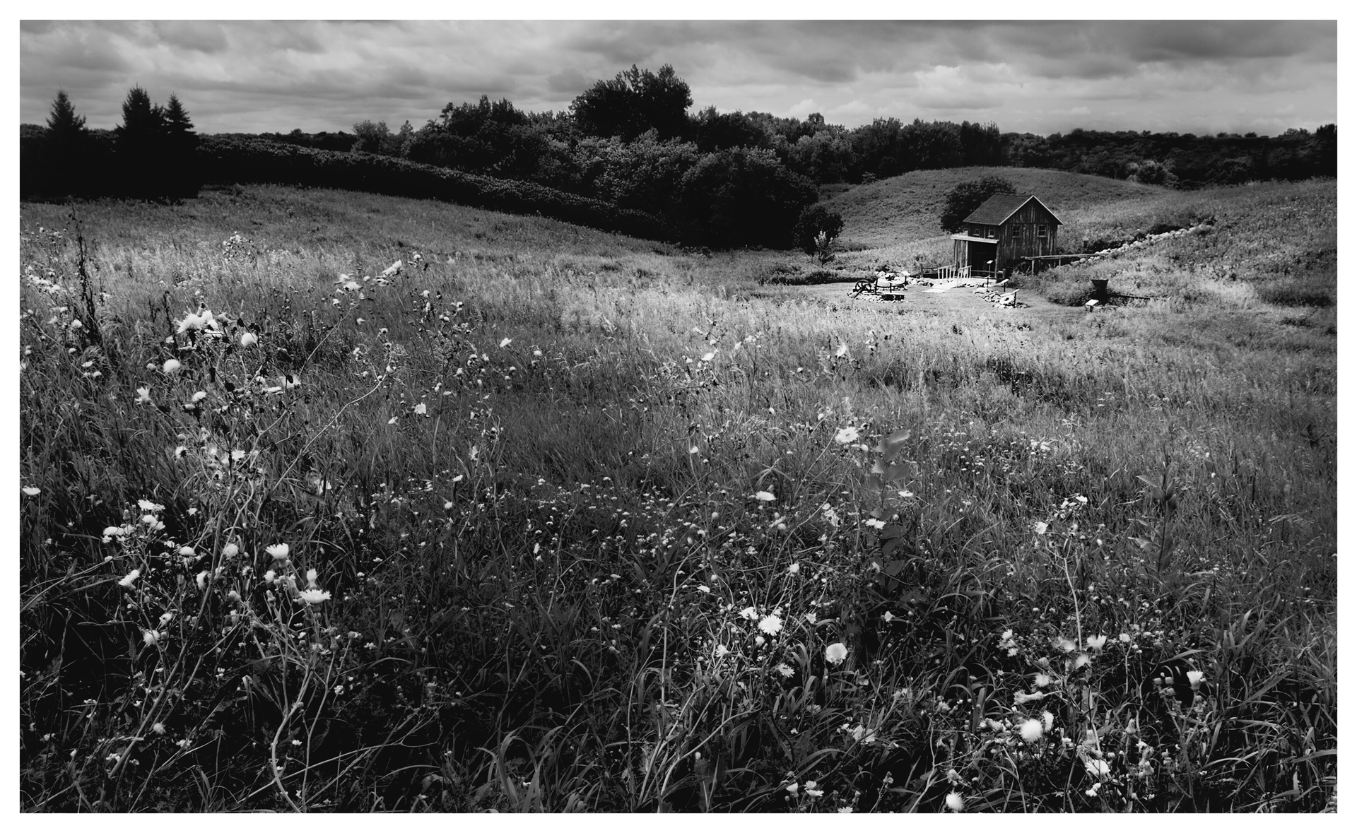 Fort Belmont...and flowers