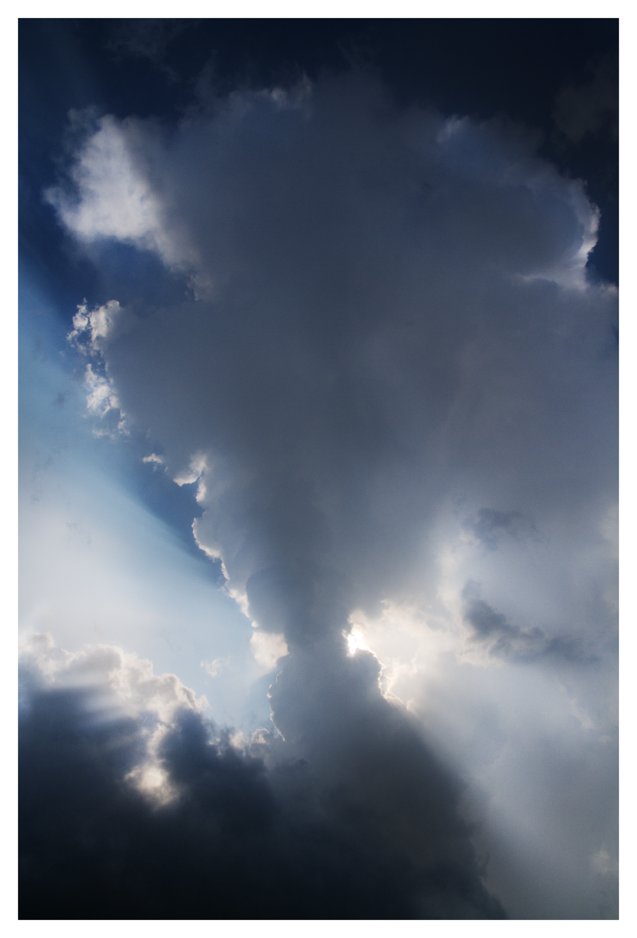 IMG_7685.png