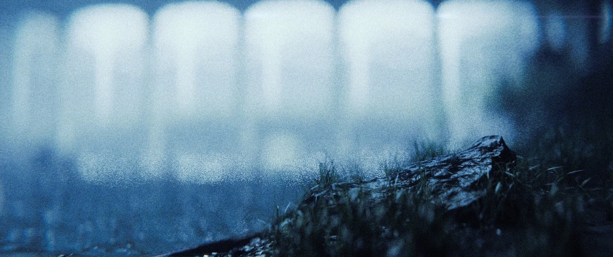 lothlorien_011_1.13.1.jpg