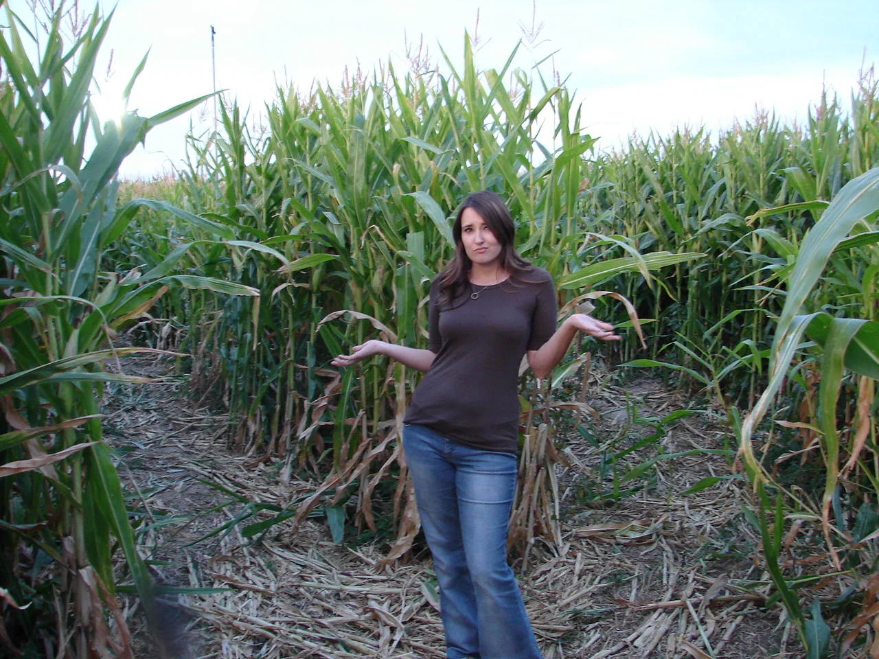 maze pictures 2009 001.jpg