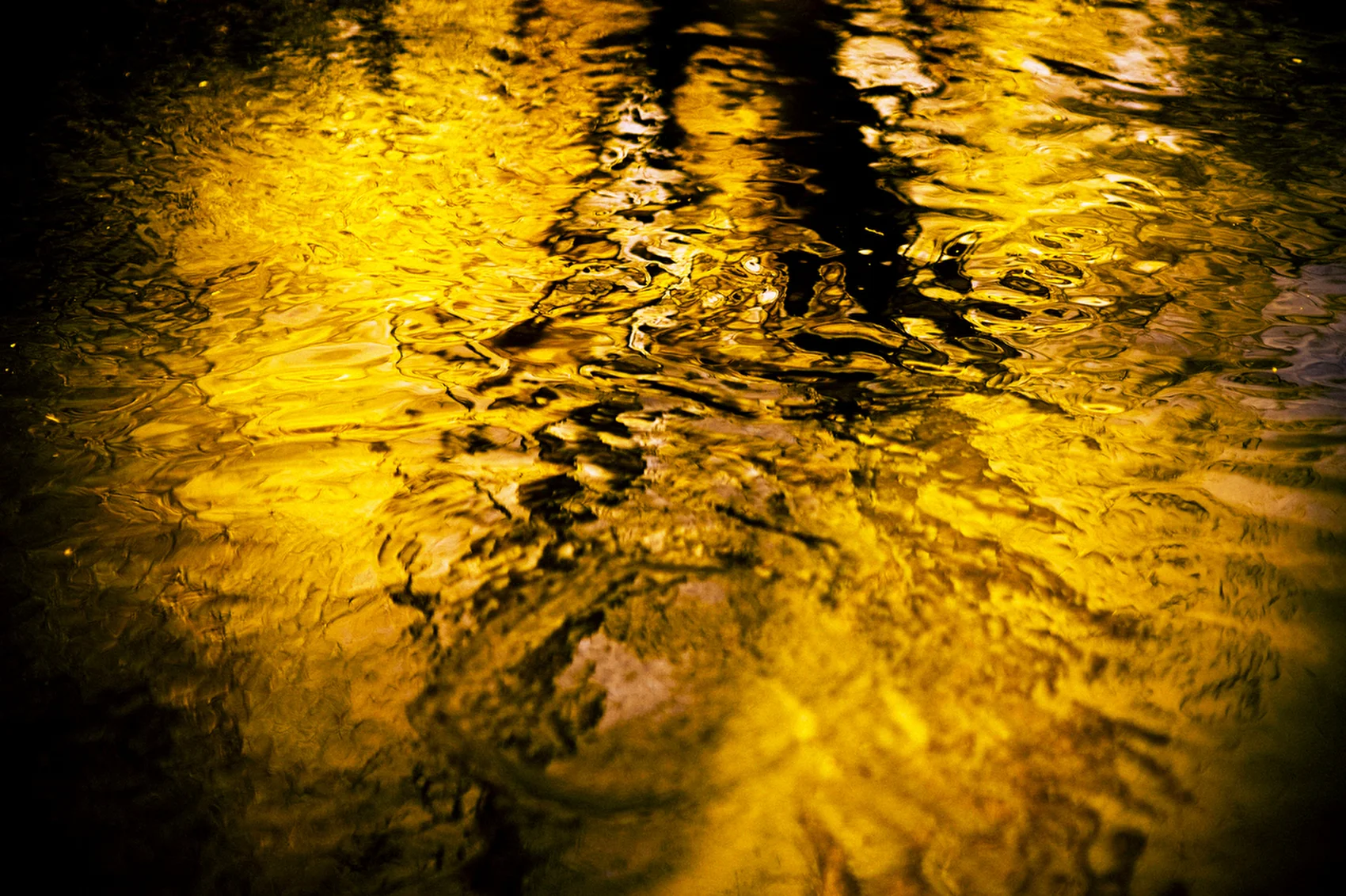 CB_creatives_art_012.JPG