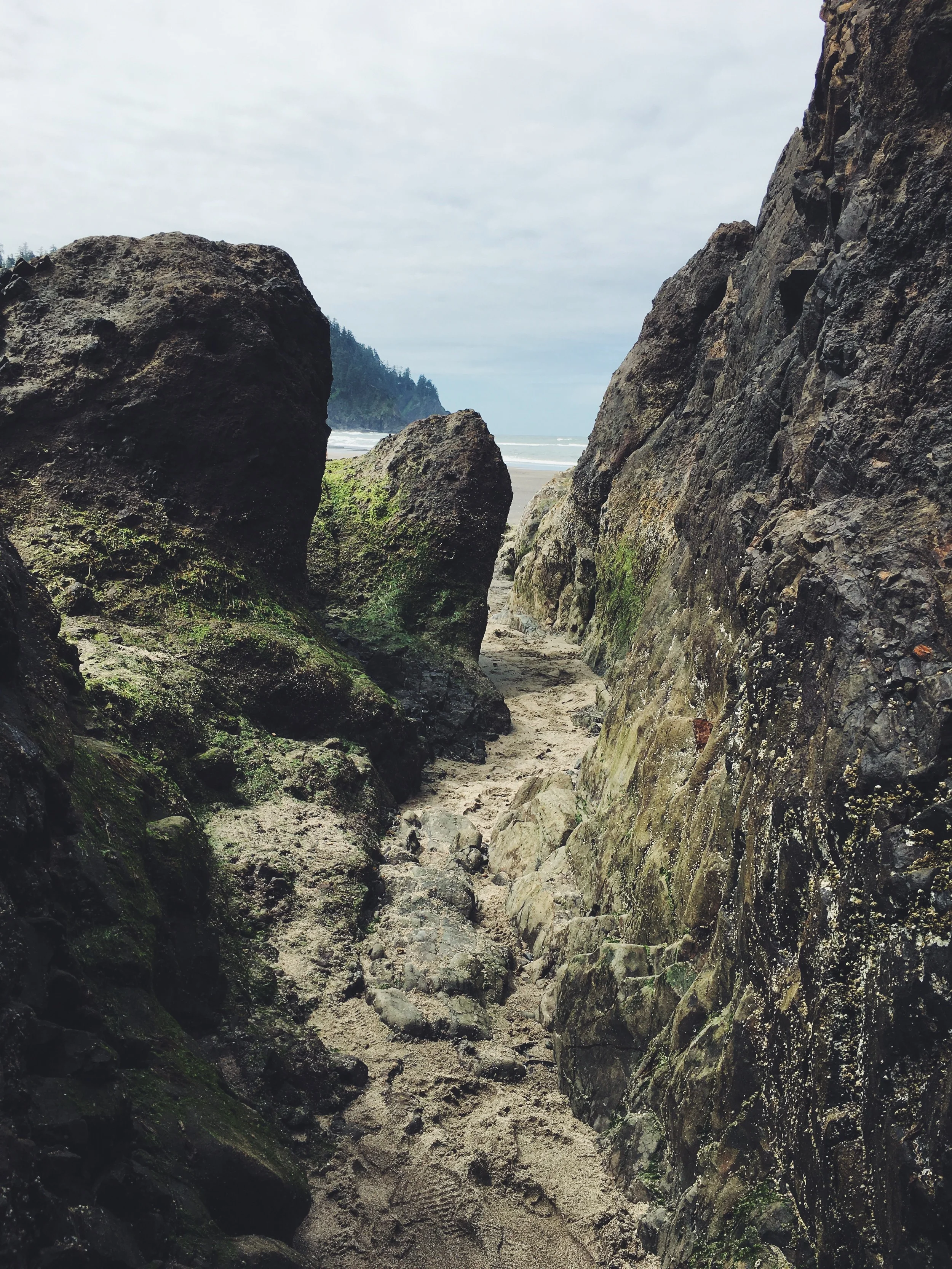At the base of Proposal Rock at low tide