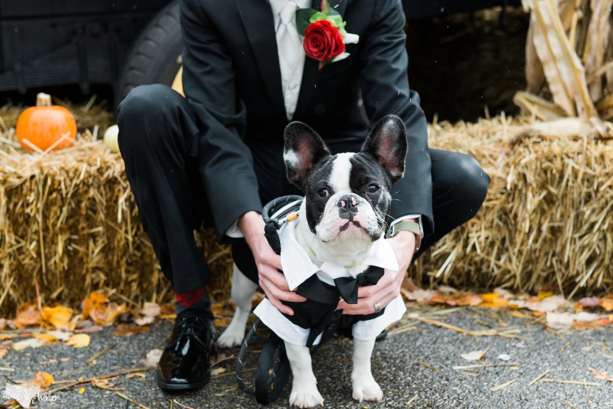 tracey and aaron's personal fall wedding at tiffany's banquet center in brookfield ohio-61.jpg
