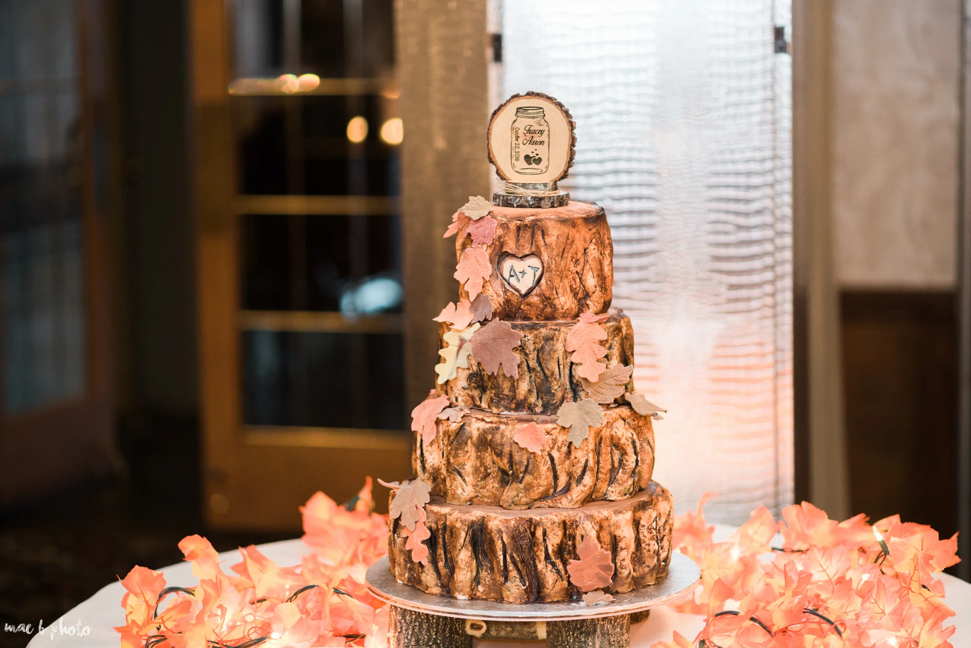 tracey and aaron's personal fall wedding at tiffany's banquet center in brookfield ohio-91.jpg