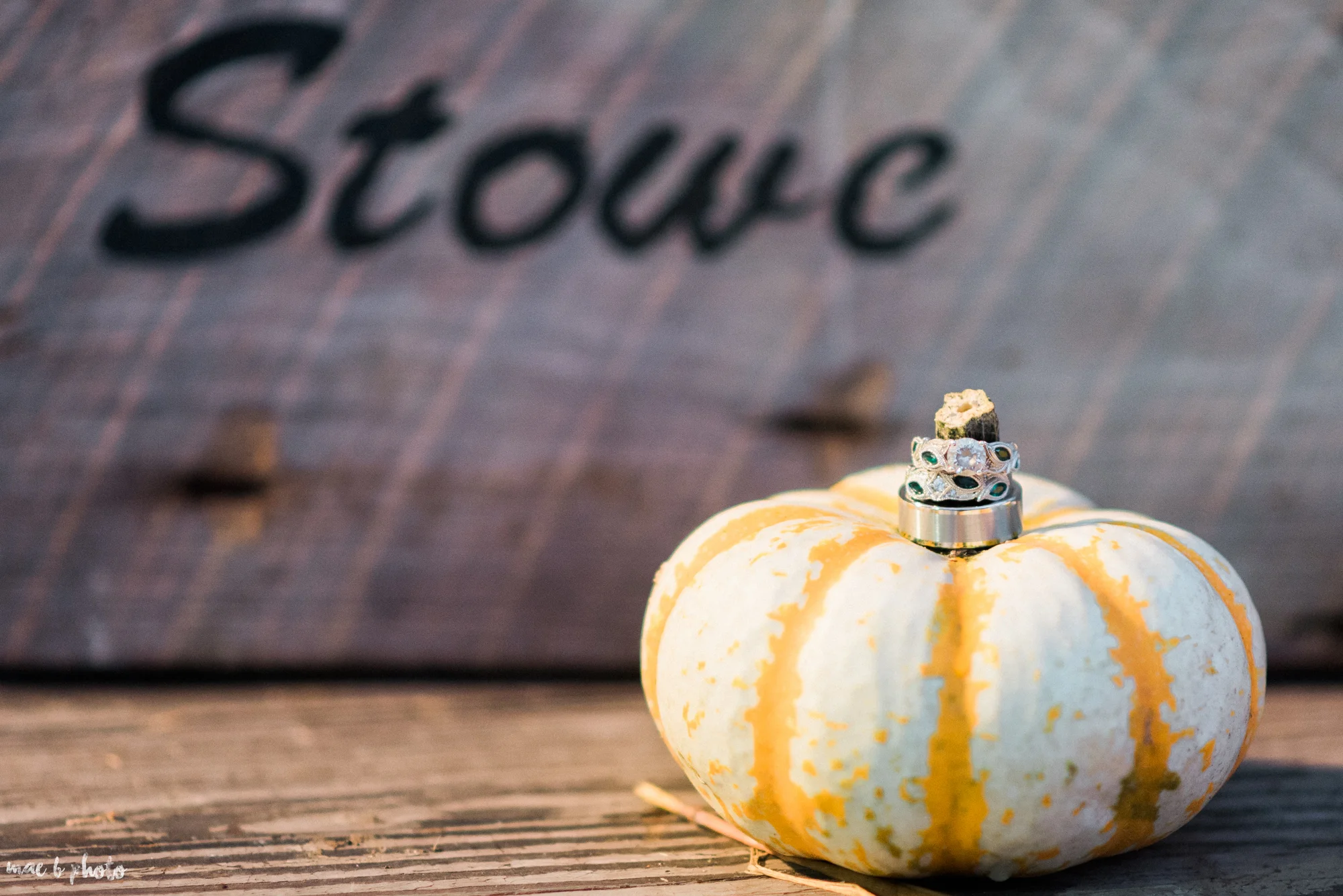 tracey and aaron's personal fall wedding at tiffany's banquet center in brookfield ohio-95.jpg
