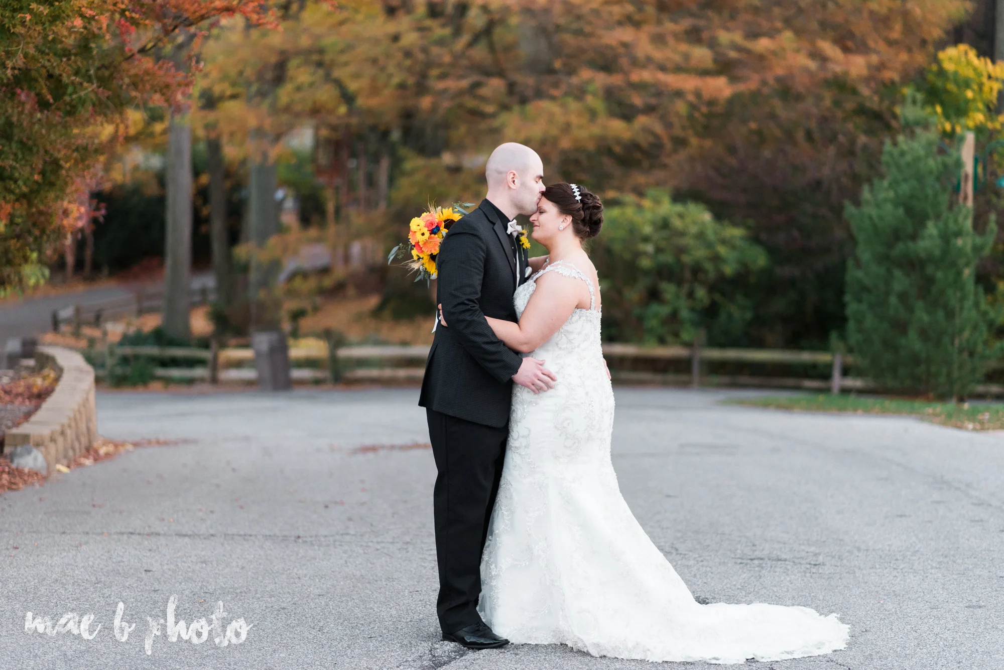 kaylynn & matt's fall zoo wedding at the cleveland metroparks zoo in cleveland ohio photographed by mae b photo-27.jpg