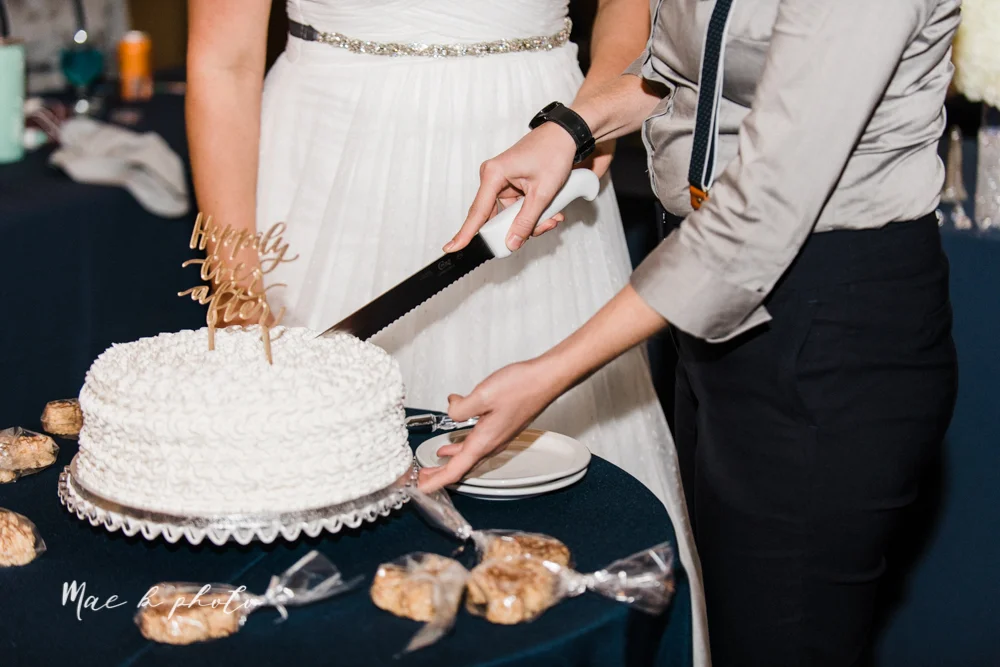 megan and angie's summer disney wedding at union tower and the hippodrome in warren ohio photographed by youngstown wedding photographer mae b photo-160.jpg
