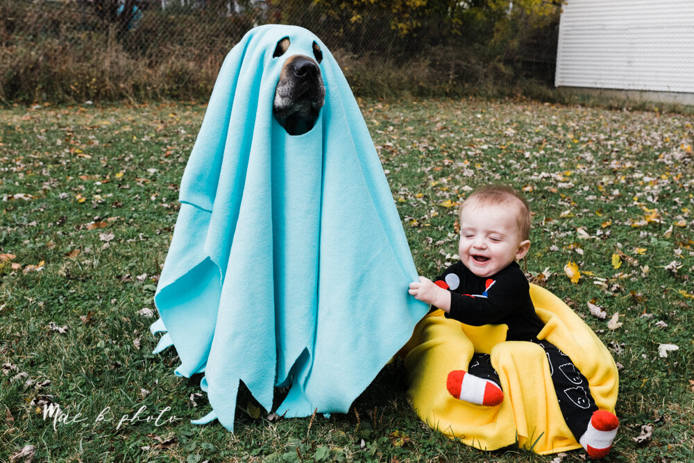 DIY Baby and Dog Pacman Halloween Costume — Mae B Photo