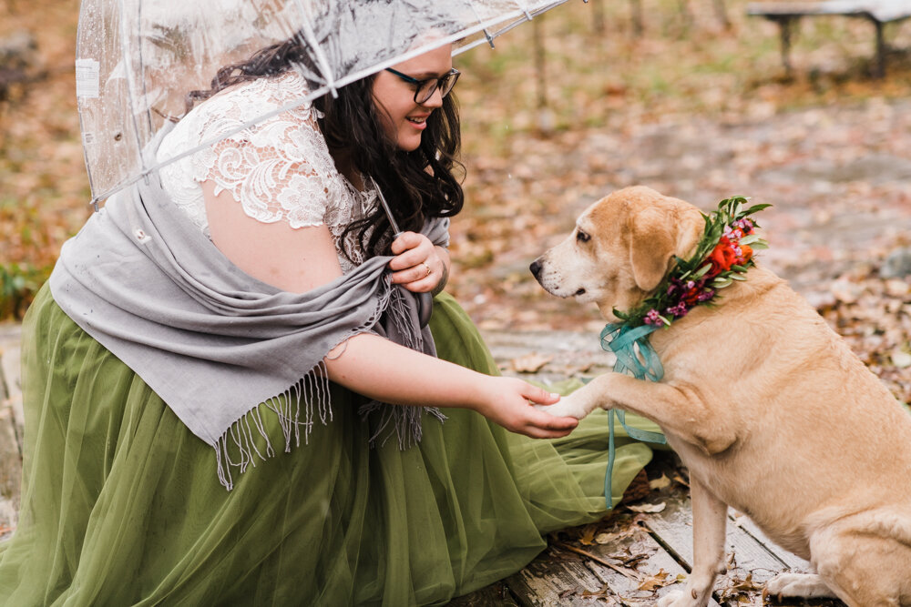 kaitlin and brads harry potter hobbit game of thrones offbeat nontraditional winter wedding at mapleside farms in brunswick ohio photographed by youngstown wedding photographer mae b photo-3.jpg