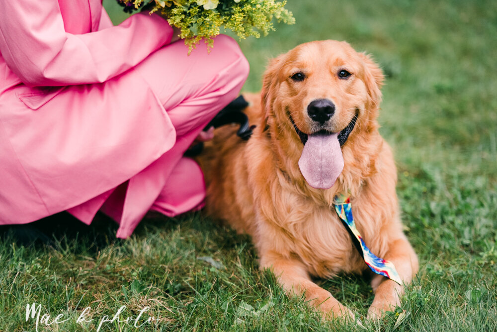 allie and nickie's colorful summer backyard pride wedding in kent ohio photographed by youngstown lgbtq wedding photographer mae b photo-53.jpg