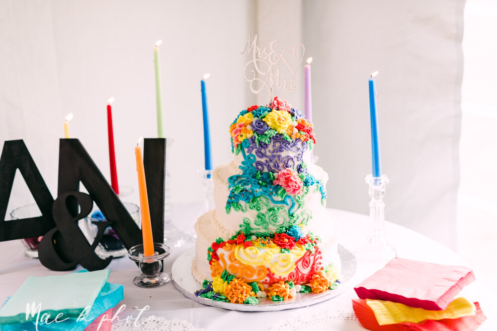 allie and nickie's colorful summer backyard pride wedding in kent ohio photographed by youngstown lgbtq wedding photographer mae b photo-122.jpg