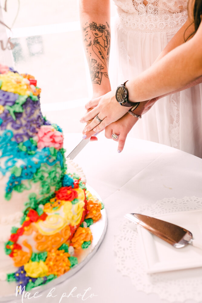 allie and nickie's colorful summer backyard pride wedding in kent ohio photographed by youngstown lgbtq wedding photographer mae b photo-128.jpg