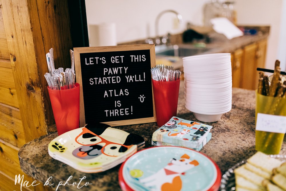 atlas' puppy dog themed third birthday party at birch hill cabin in mill creek park photography by youngstown family photographer mae b photo-5.jpg