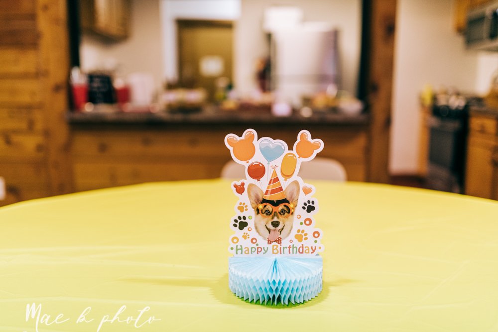 atlas' puppy dog themed third birthday party at birch hill cabin in mill creek park photography by youngstown family photographer mae b photo-10.jpg