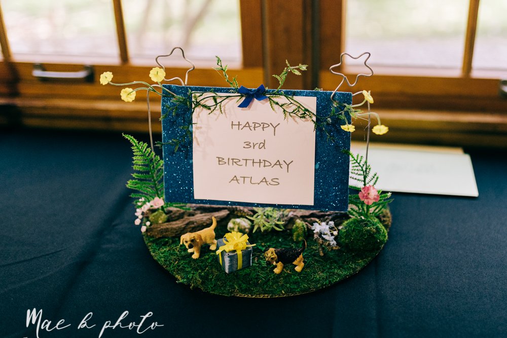 atlas' puppy dog themed third birthday party at birch hill cabin in mill creek park photography by youngstown family photographer mae b photo-12.jpg