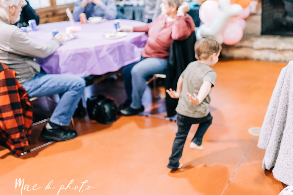 atlas' puppy dog themed third birthday party at birch hill cabin in mill creek park photography by youngstown family photographer mae b photo-30.jpg