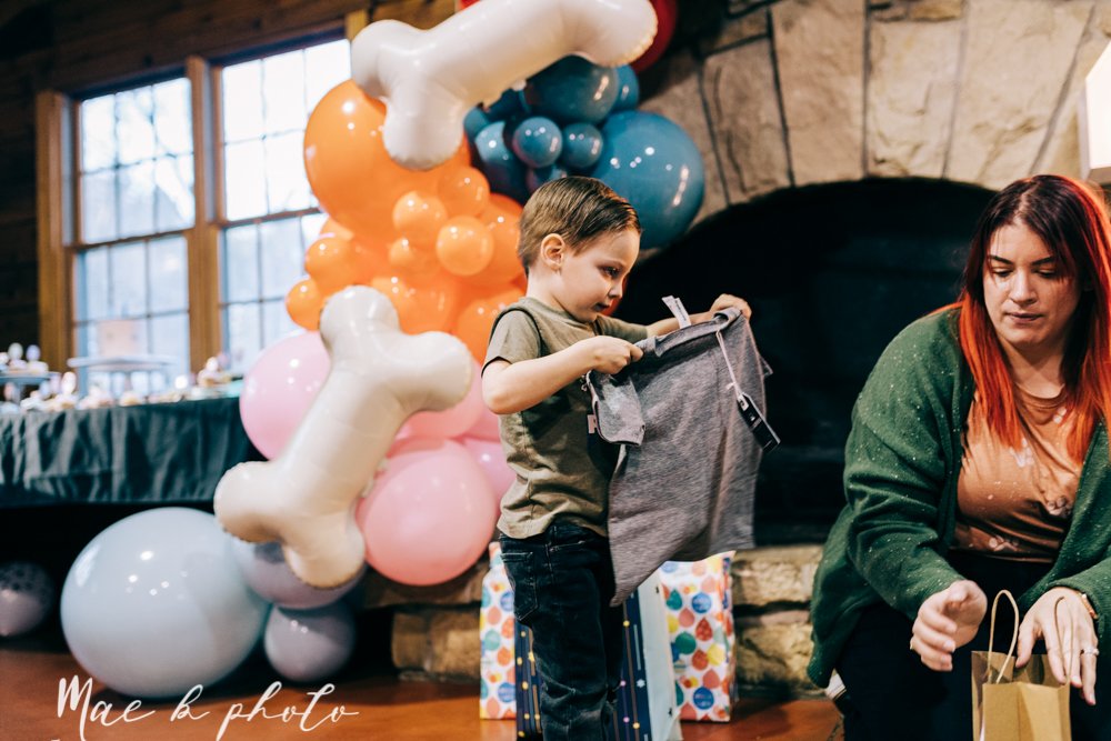 atlas' puppy dog themed third birthday party at birch hill cabin in mill creek park photography by youngstown family photographer mae b photo-36.jpg