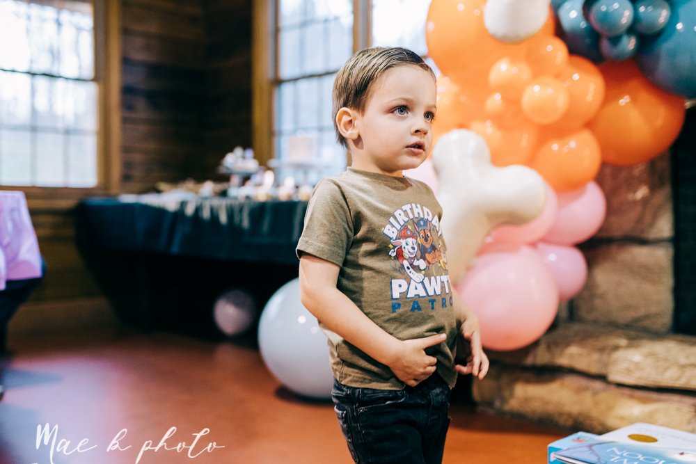 atlas' puppy dog themed third birthday party at birch hill cabin in mill creek park photography by youngstown family photographer mae b photo-39.jpg