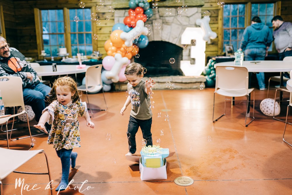 atlas' puppy dog themed third birthday party at birch hill cabin in mill creek park photography by youngstown family photographer mae b photo-49.jpg