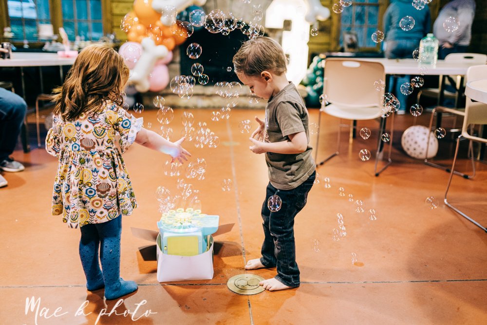 atlas' puppy dog themed third birthday party at birch hill cabin in mill creek park photography by youngstown family photographer mae b photo-50.jpg