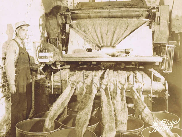 Historical Hemp Fiber processing