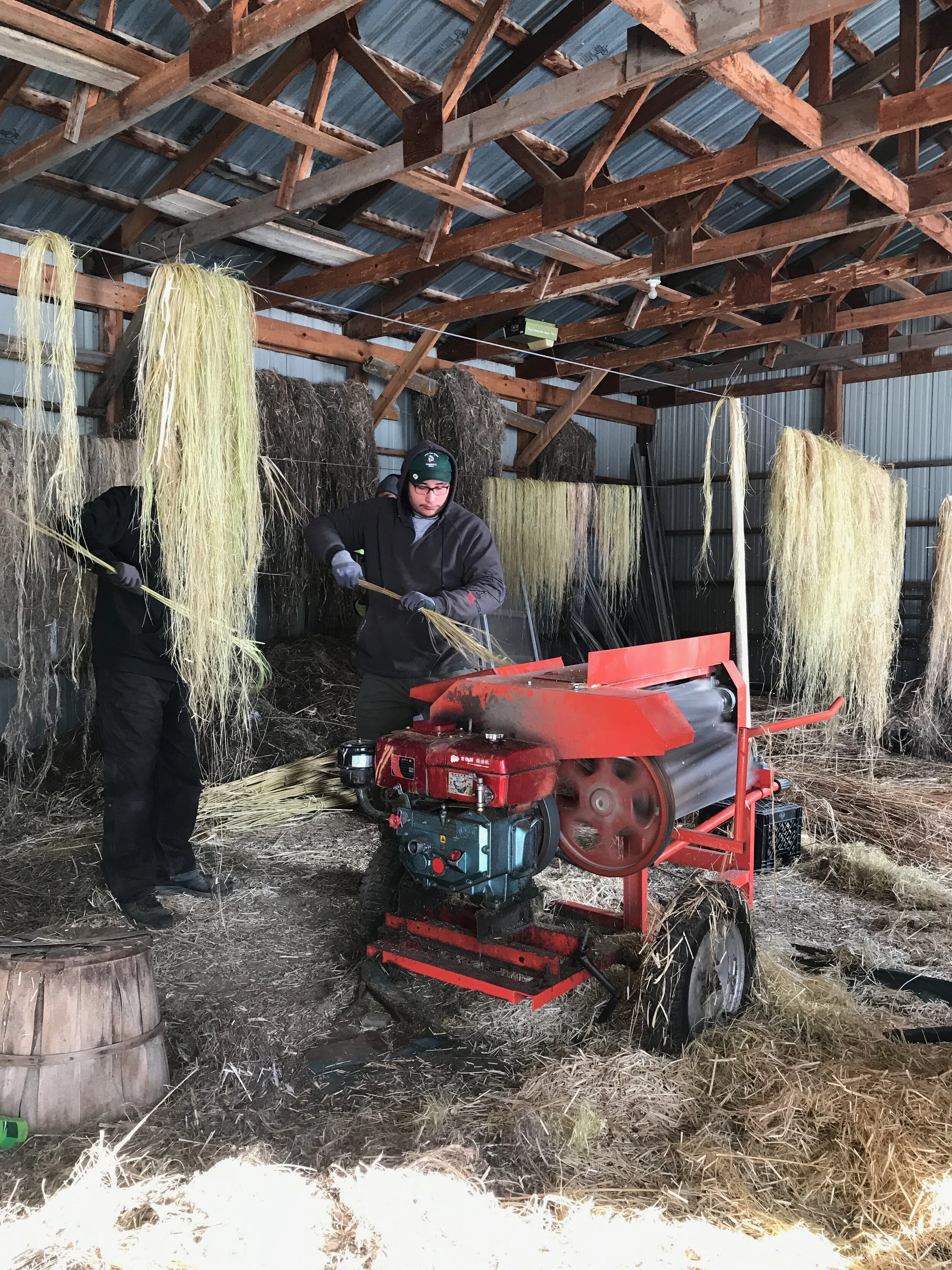 Gwe Gasco hemp stripping after decortication 