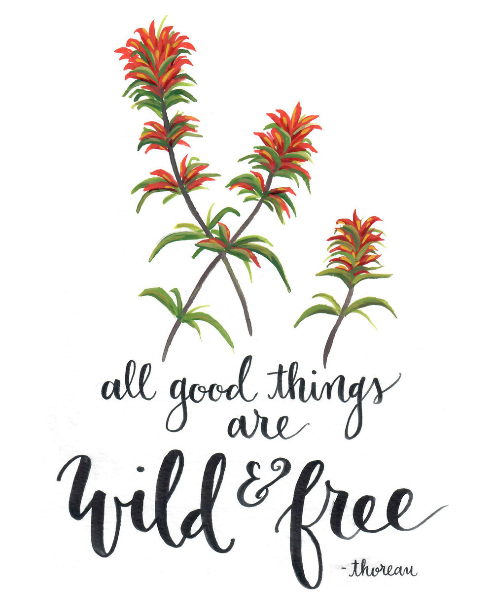 Wild And Free Printable Wild And Free Printable