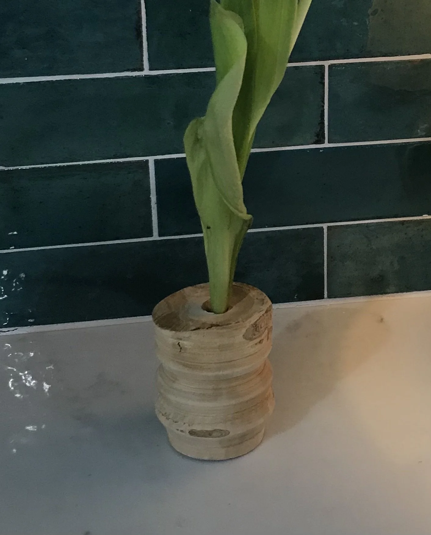 Wooden vase