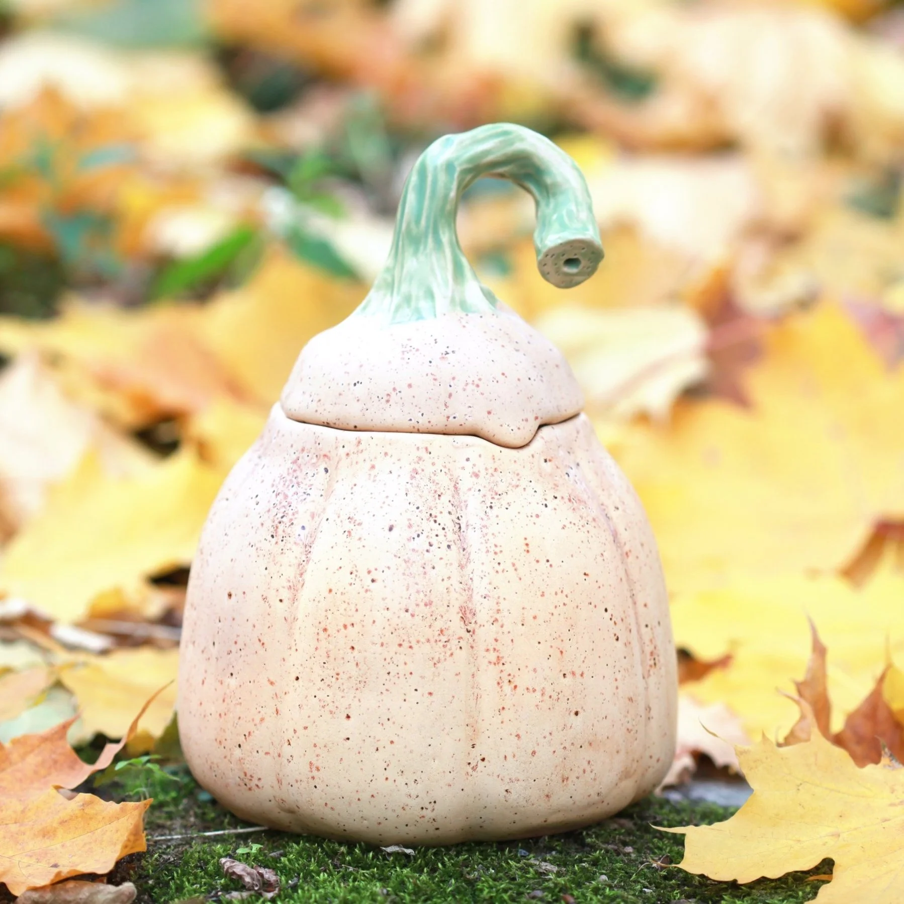 clay+pottery+pumpkin+.jpg