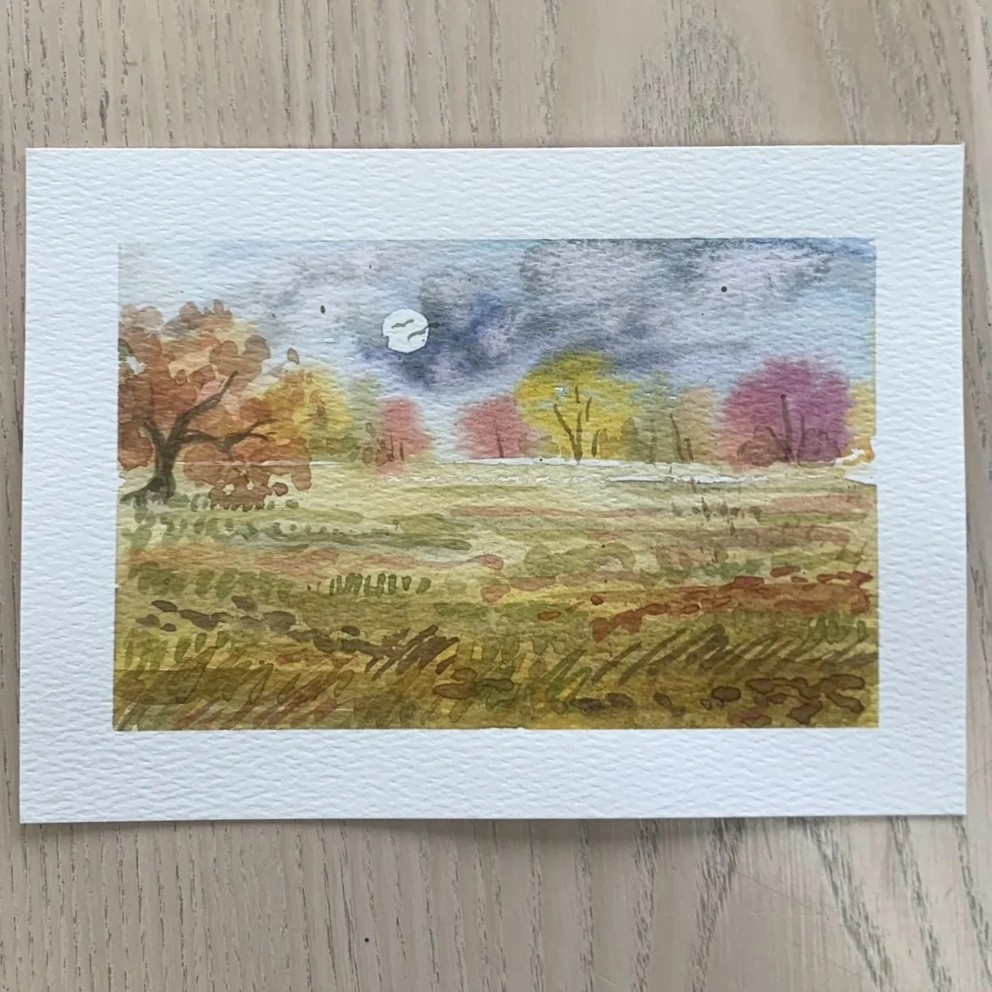 autumn lanscape.jpg