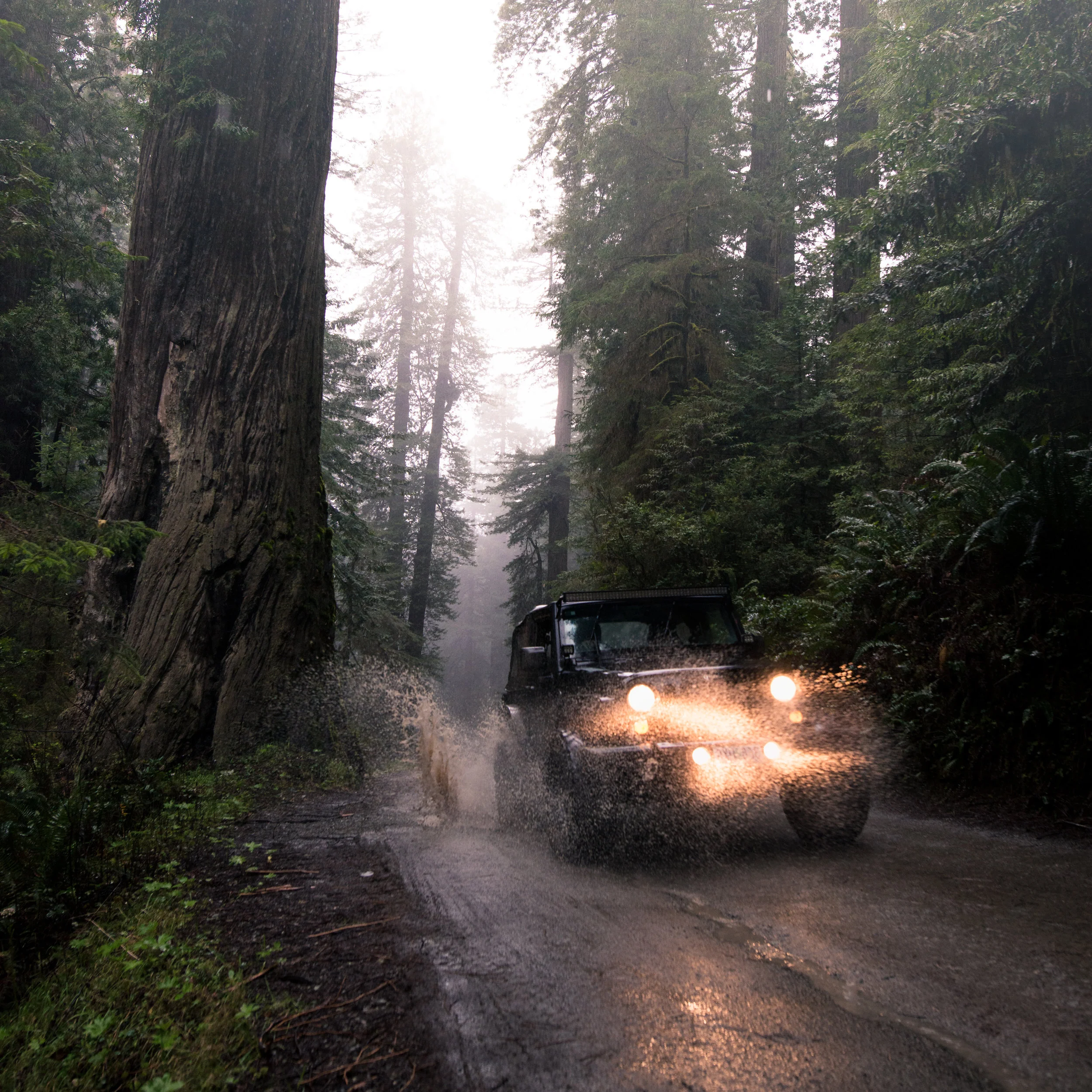 Northern California